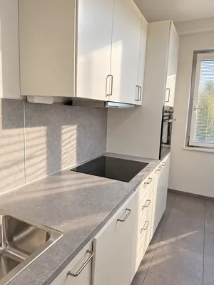 1,5-Zimmer-Wohnung mit neuer Küche und Grünblick