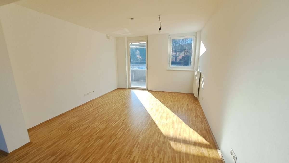 1/2 Jahr für 1/2 Miete --- Großzügige, helle 3-Zimmer-Wohnung mit Balkon und Carport in St. Stefan im Rosental - Ansicht 3