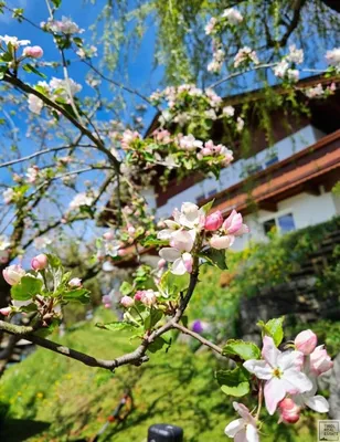 6-Zimmer-Haus kaufen in Kufstein – 213 m², € 1.550.000 – Bild 23 von 29
