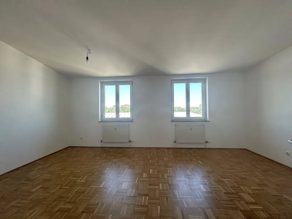 PREISWERT UND GEMÜTLICH - 1 ZIMMER WOHNUNG NAHE DER DONAU ZUM WOHLFÜHLEN! - Ansicht 3