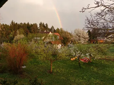 Grundstück mieten in Hartberg-Fürstenfeld – 1 000 m², € 370 – Bild 18 von 22