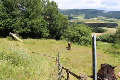 Immobilie kaufen in Rohrbach – 115 m², € 340.000 – Bild 22 von 24