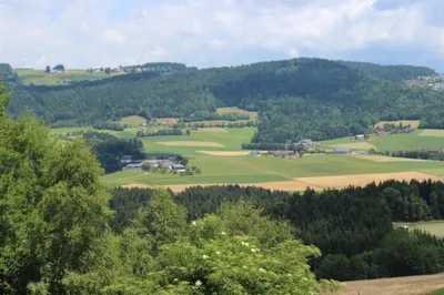 Immobilie kaufen in Rohrbach – 115 m², € 340.000 – Bild 23 von 24
