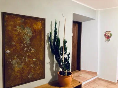 Immobilie kaufen in Rohrbach – 115 m², € 340.000 – Bild 10 von 24