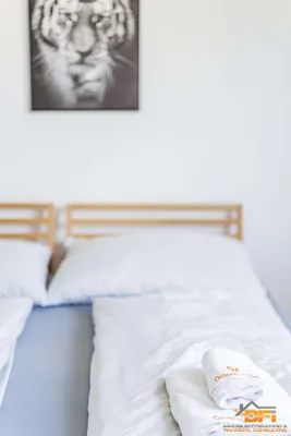 2-Zimmer-Wohnung mieten in Wien – 45 m² – Bild 16 von 25