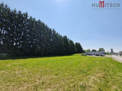 Immobilie kaufen in Leibnitz – 16 936 m² – Bild 3 von 3