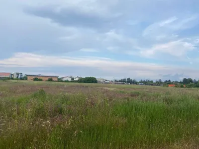 Immobilie kaufen in Gänserndorf – 12 500 m² – Bild 5 von 9