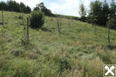 Grundstück kaufen in Perg – 1 041 m², € 39.558 – Bild 4 von 4