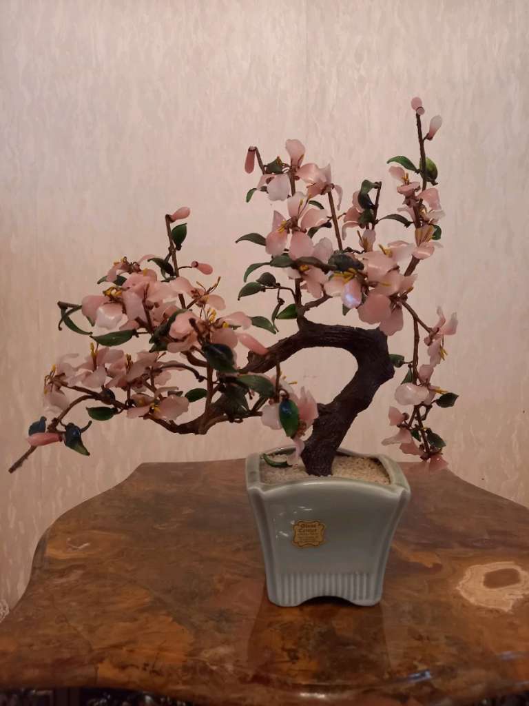 Bonsai, € 150,- (9781 Flaschberg) - willhaben