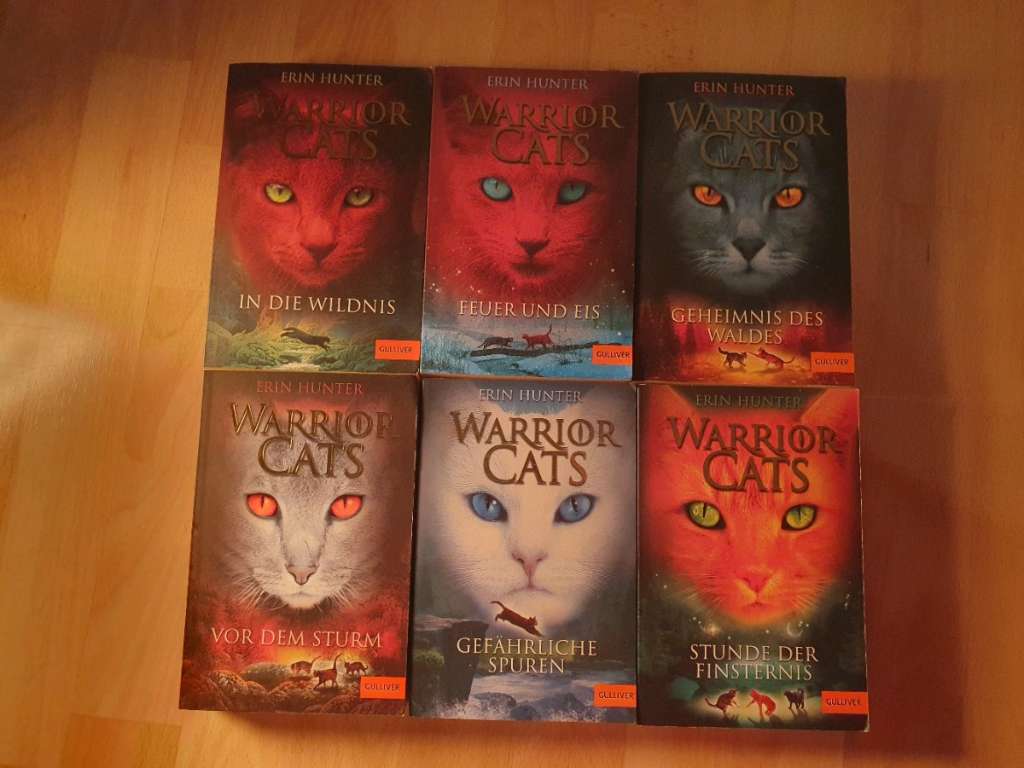 Warrior cats staffel 1  Warrior cats, Warrior cats bücher, Katzen