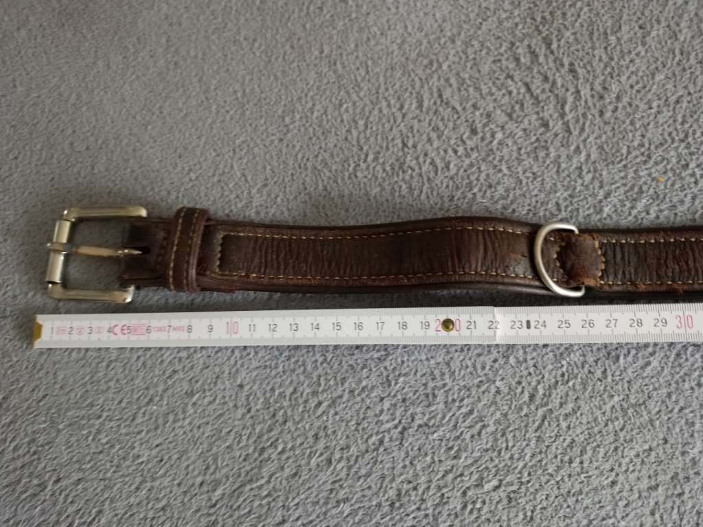 Louis Vuitton Hundehalsband, € 100,- (4020 Linz) - willhaben