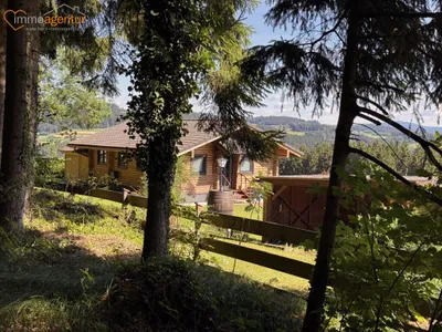 3-Zimmer-Haus kaufen in Urfahr-Umgebung – 60 m², € 395.000 – Bild 3 von 23