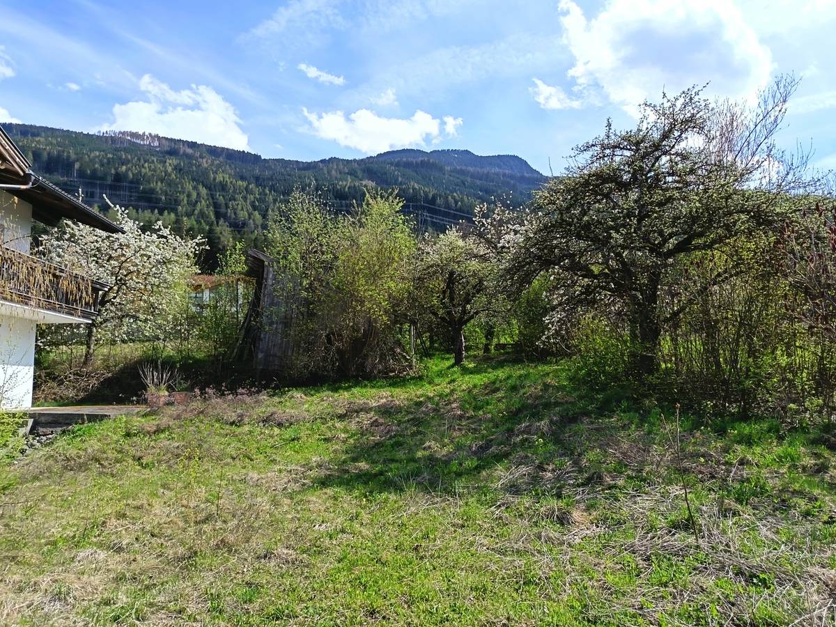 Große Chance!! Zweifamilienhaus ideal auch für Praxis, in Rinn, mit 1800 qm großen Grundstück!! - Ansicht 2