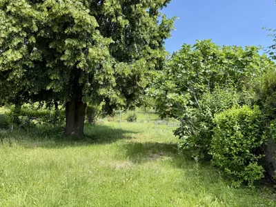 7-Zimmer-Haus kaufen in Mattersburg – 170 m², € 249.000 – Bild 21 von 66