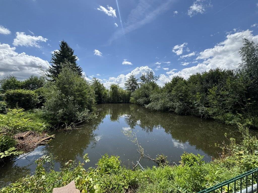 Digitales Angebotsverfahren: Sonniges Freizeitgrundstück mit idyllischem Teich in begehrter Lage von Wels-Puchberg - Ansicht 2