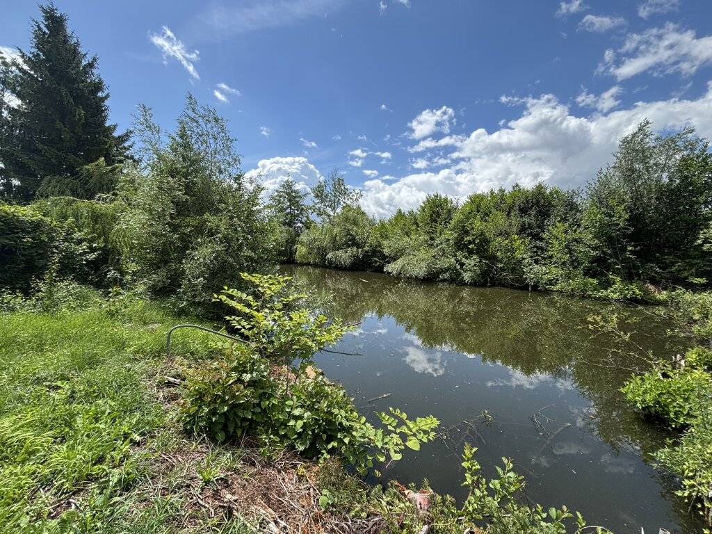 Digitales Angebotsverfahren: Sonniges Freizeitgrundstück mit idyllischem Teich in begehrter Lage von Wels-Puchberg - Ansicht 3