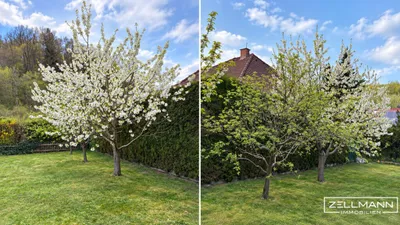 6-Zimmer-Haus kaufen in Sankt Pölten Land – 127 m², € 749.000 – Bild 25 von 32