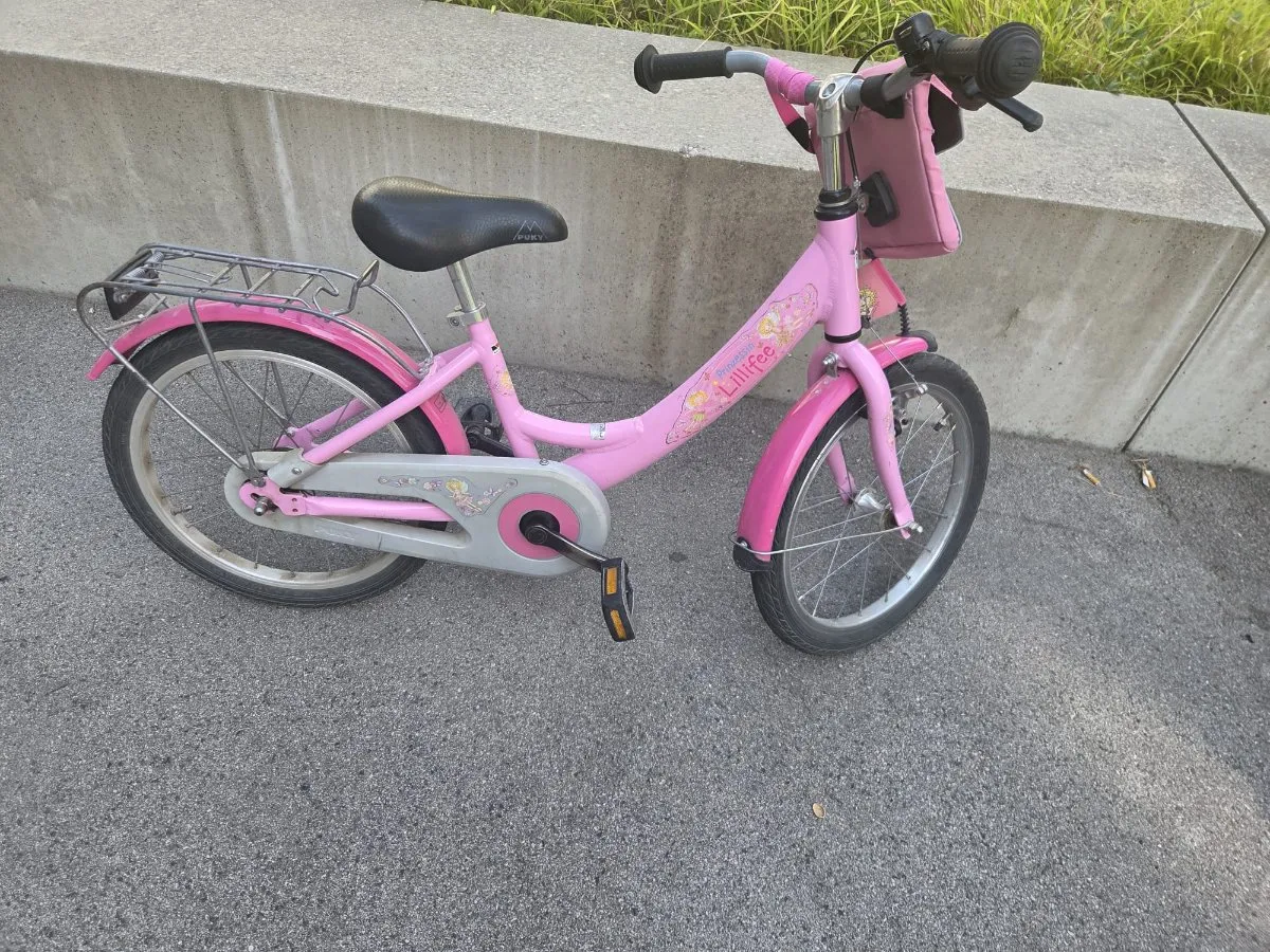 pegasus fahrrad 2011 Premio Evo 8R E-Bike Gebraucht | Generalüberholt Category:E Bike Trekking_URSUS 