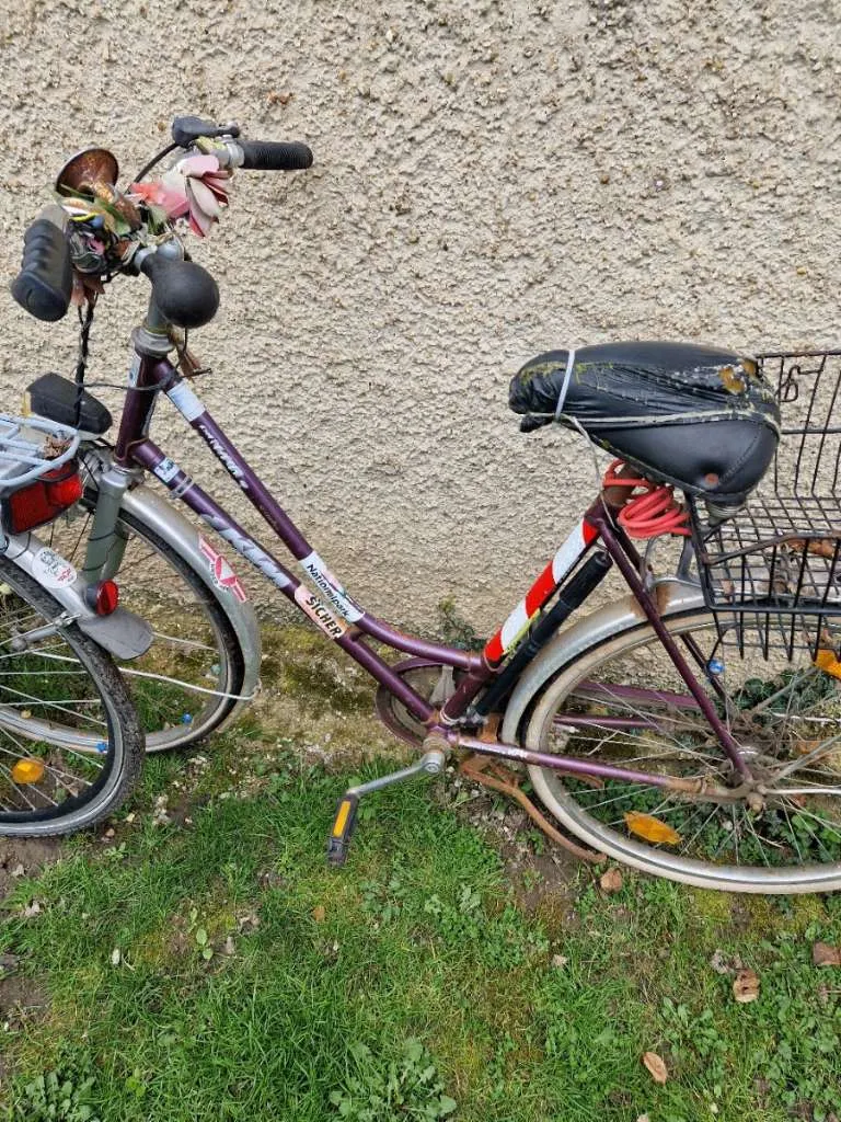 fahne für fahrradanhänger Fahrradanhänger, 2 Stück dekorative Fahrrad-Flaggenanhänger, Kinderfahrrad-Fahnen, reflektierende Fahrradfahnen, verstellbare Fahrradflaggen, Kinderfahrrad-Warnfahnen und Fahrrad-Banner. Sport & Freizeit Die Grätzlhebammen suspensionDe:E-Fully Size:- Medium