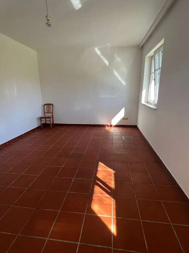 1-Zimmer-Wohnung/ Garconniere - Ansicht 3