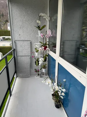 2-Zimmer-Wohnung mieten in Salzburg Stadt – 48 m², € 1.200 – Bild 14 von 15