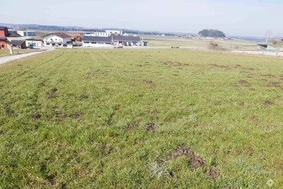 Immobilie mieten in Braunau am Inn – 7 500 m² – Bild 3 von 4