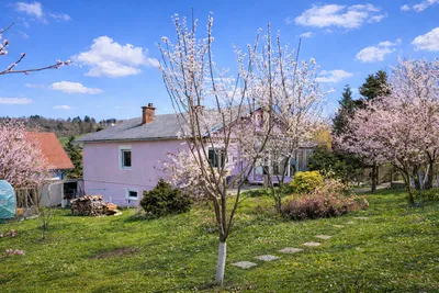 4-Zimmer-Haus kaufen in Sankt Pölten Land – 145 m², € 595.000 – Bild 29 von 30
