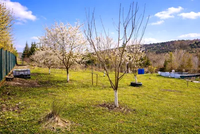 4-Zimmer-Haus kaufen in Sankt Pölten Land – 145 m², € 595.000 – Bild 5 von 30