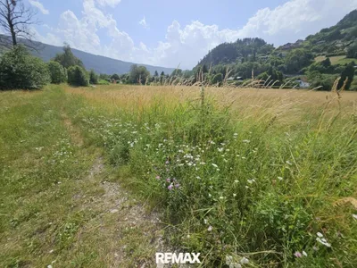 Immobilie kaufen in Spittal an der Drau – 6 855 m² – Bild 5 von 13