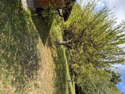 7-Zimmer-Haus kaufen in Urfahr-Umgebung – 178 m², € 500.000 – Bild 35 von 39