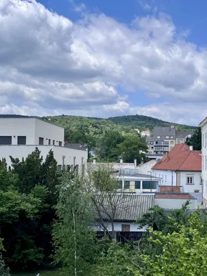 3-Zimmer-Wohnung kaufen in Baden – 161,22 m², € 890.000 – Bild 24 von 34
