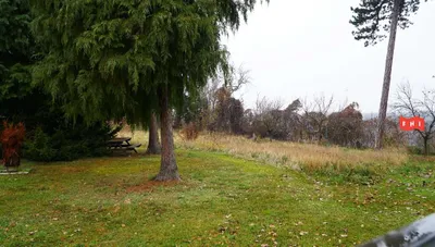 Gewerbeimmobilie mieten in Krems an der Donau – 800 m², € 2.670 – Bild 34 von 39