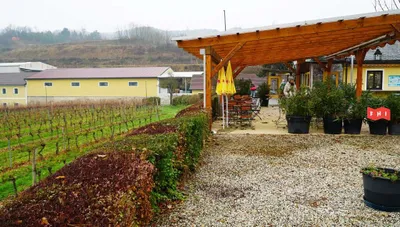 Gewerbeimmobilie mieten in Krems an der Donau – 800 m², € 2.670 – Bild 32 von 39