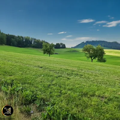 Grundstück zum Kauf in 8792 Leoben