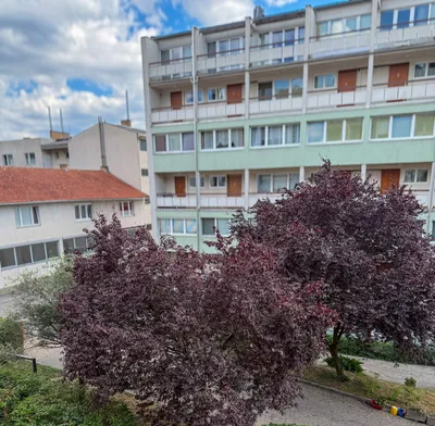 3-Zimmer-Wohnung mieten in Krems an der Donau – 75 m², € 991 – Bild 13 von 13