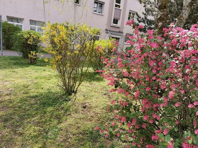 Apartment in Linz, Wegscheid, Neue Heimat - Ansicht 2