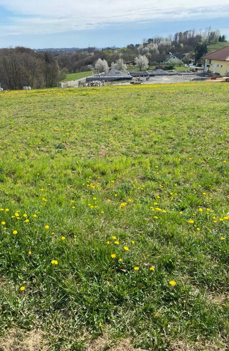 Baugrundstück in Ruhelage in einer Sackgasse. Neuer Preis. Provisionsfrei. - Ansicht 2