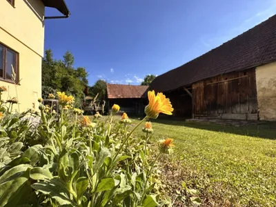 Haus kaufen in Neunkirchen – 123,9 m², € 178.000 – Bild 20 von 31