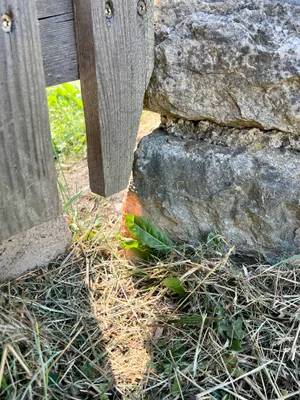 Grundstück kaufen in Spittal an der Drau – 1 008 m², € 168.336 – Bild 9 von 10