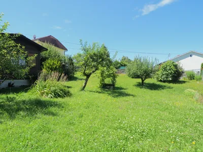Grundstück kaufen in Steyr-Land – 830 m², € 218.000 – Bild 2 von 7