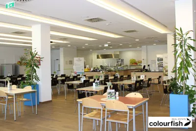 Gewerbeimmobilie mieten in Wien – 469 m², € 8.184 – Bild 6 von 7