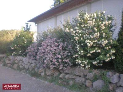 Immobilie kaufen in Bruck an der Leitha – 799 m², € 2.890.000 – Bild 32 von 44