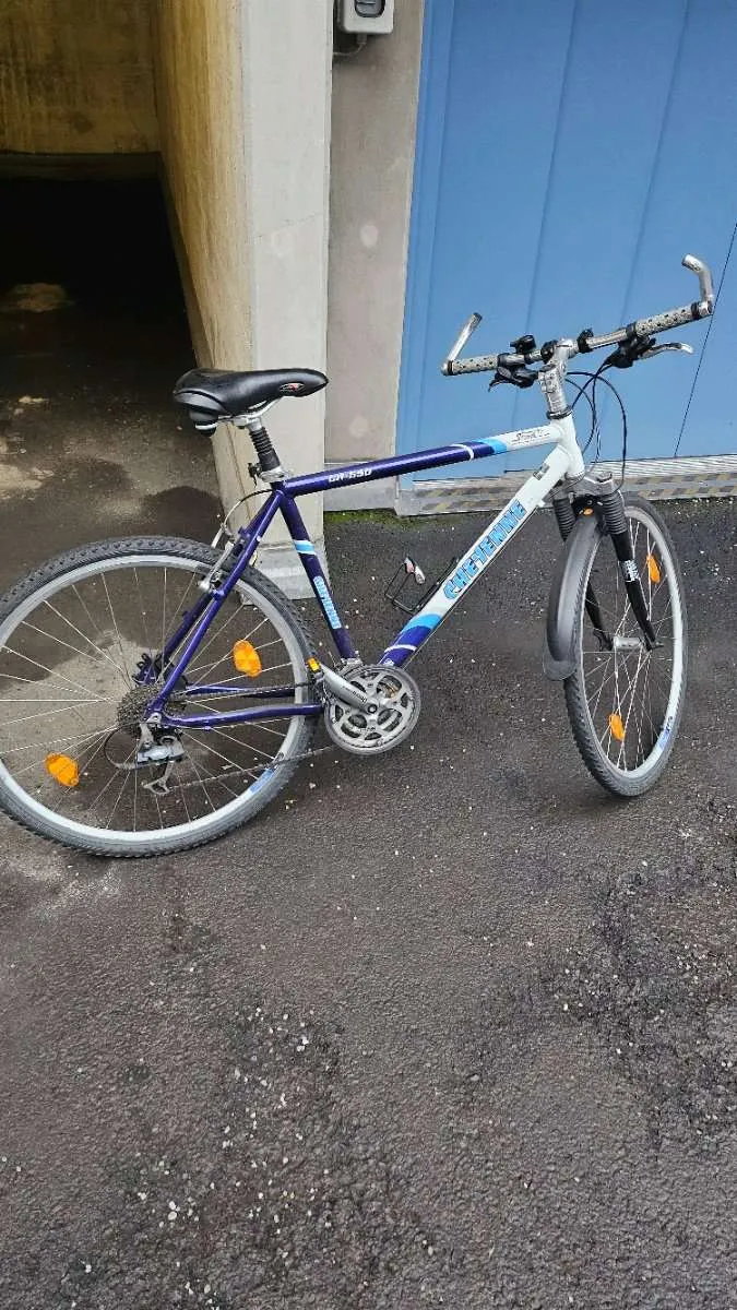 ladegert fr e-bike bosch Ladegert 4A 220-240 V - Bosch eBike SmartSystem