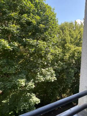 Große Gemeinde Wohnung am Liesingerbach