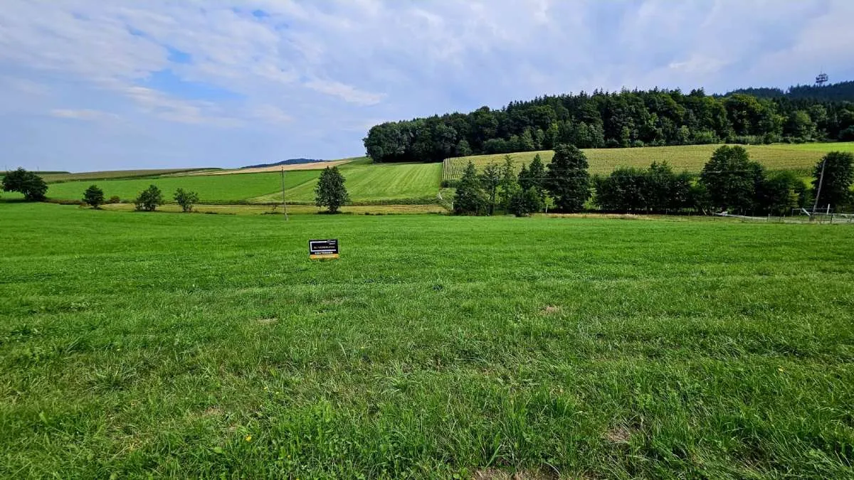 Kein Bauzwang: Großzügige Baugrundstücke in schöner Lage - Vista 3