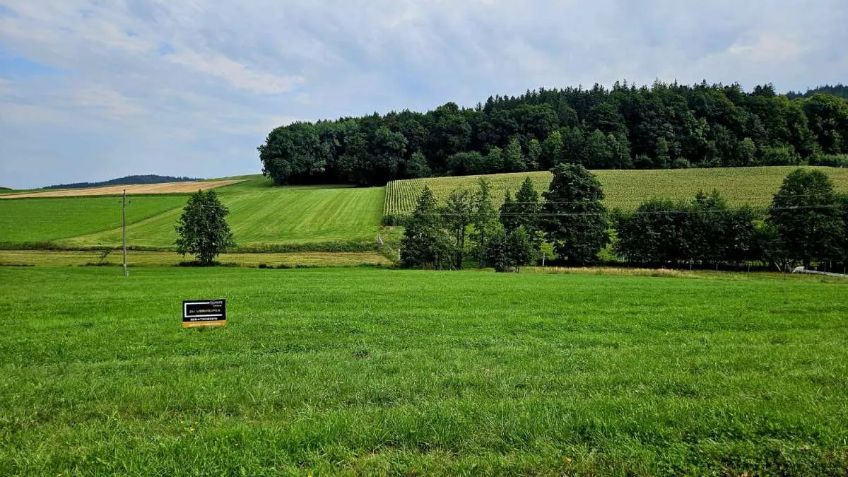 Kein Bauzwang: Großzügige Baugrundstücke in schöner Lage - Vista 2