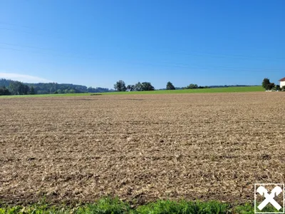 Grundstück kaufen in Linz Land – 9 815 m², € 2.560.000 – Bild 2 von 4