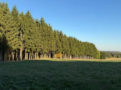 Grundstück kaufen in Horn – 35 748 m², € 89.999 – Bild 2 von 6