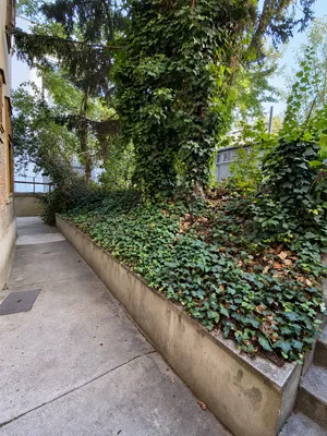 1-Zimmer-Wohnung mieten in Wien – 25 m², € 630 – Bild 10 von 12