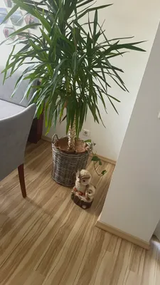 3-Zimmer-Wohnung mieten in Oberwart – 92 m², € 544 – Bild 6 von 37